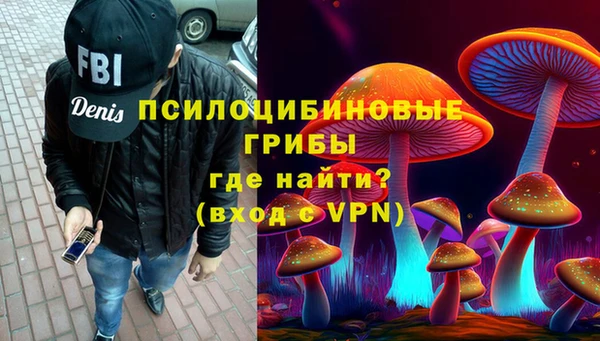 хмурый Алексеевка