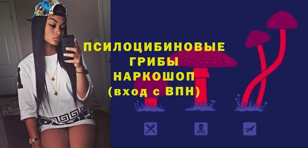 хмурый Алексеевка