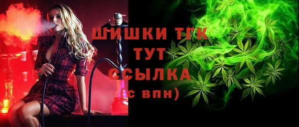 гидропоника Алзамай